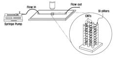 MICROFLUIDIC FILTER USING THREE-DIMENSIONAL CARBON NANOTUBE NETWORKS AND PREPARATION METHOD THEREOF