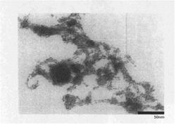 Method of preparing metal nanoparticles