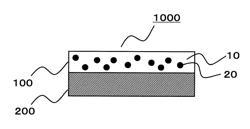 SHATTERPROOFING MEMBER WITH HARDENABLE PRESSURE-SENSITIVE ADHESIVE LAYER