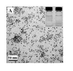 REVERSIBLY WATER-SOLUBLE NANOCRYSTALS