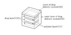 DRUG DELIVERY SYSTEM INCLUDING LAMINATED STRUCTURE