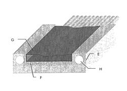 Connector for optical fibers