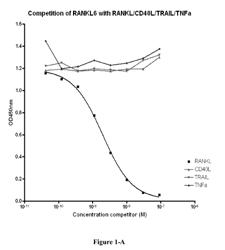 Amino acid sequences directed against RANK-L and polypeptides comprising the same for the treatment of bone diseases and disorders