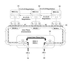 Local Data Bi-Casting Between Core Network and Radio Access