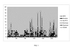 Protein Variants Having Modified Immunogenicity