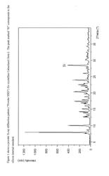 SOLID STATE FORMS OF CABAZITAXEL AND PROCESSES FOR PREPARATION THEREOF