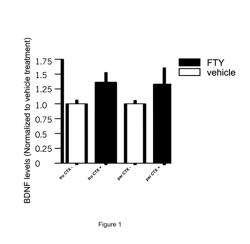 USE OF S1P RECEPTOR MODULATOR