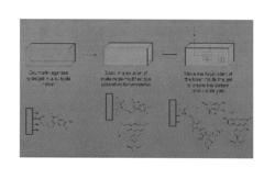 Chemically patterned hydrogels, manufacture and use thereof