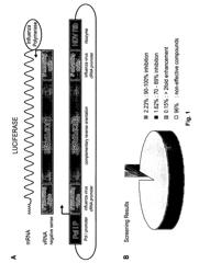 Compounds that modulate negative-sense, single-stranded RNA virus replication and uses thereof