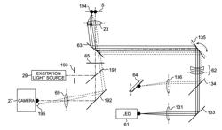 Auto focus apparatus for detecting a focal point with a setting section for shifting an irradiation position outside an observation field of an imaging section