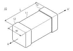 Multi-layered ceramic capacitor having dual layer-electrode structure