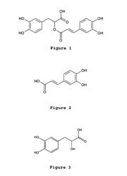 BIOLOGICAL EFFECTS OF COMPOSITIONS OF ROSMARINIC ACID