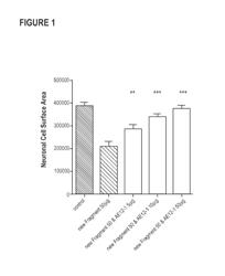 COMPOSITION AND METHOD FOR THE DIAGNOSIS AND TREATMENT OF DISEASES ASSOCIATED WITH NEURITE DEGENERATION