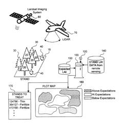 System and Method for Forest Management Using Stand Development Performance as Measured by Leaf Area Index