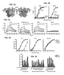 Neutralizing antibodies to HIV-1 and their use