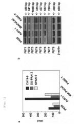 COMBINED PHARMACEUTICAL PREPARATION