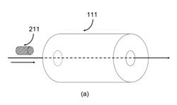 APPARATUS FOR DETECTING TUMOR CELLS