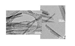 METHOD FOR PRODUCING A COMPOUND BASED ON PSEUDOLAMINAR SILICATES AND THE USE THEREOF AS A FILLER FOR POLYMERIC MATERIALS