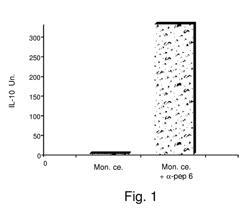 Adenylyl cyclase-associated protein (CAP1) and uses thereof as a target for immuno-modulation