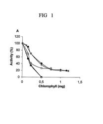 Use of plant cell membrane for the treatment of obesity