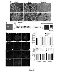 Particulate delivery vehicles for embryoid bodies