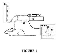 Methods of treating mammals with eustachian tube dysfunctions