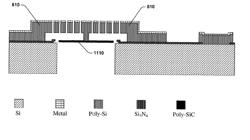 Microfabricated microphone