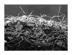 HIGH BULK TISSUE COMPRISING EXPANDABLE MICROSPHERES