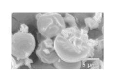 HYDROXYALKYLCELLULOSE MICROPARTICLES