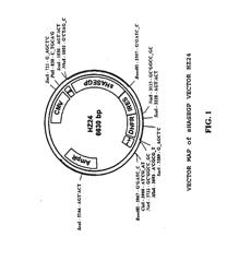 Soluble glycosaminoglycanases and methods of preparing and using soluble glycosaminoglycanases