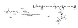 Photodegradable Polycaprolactone Fumarate Block Copolymers