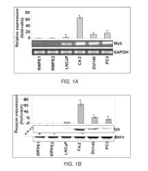 METHODS AND COMPOSITIONS FOR THE DIAGNOSIS, CLASSIFICATION, AND TREATMENT OF CANCER