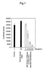 ANTIBODY HAVING ACTIVITY OF INHIBITING HEPATITUS C VIRUS (HCV) INFECTION AND USE THEREOF