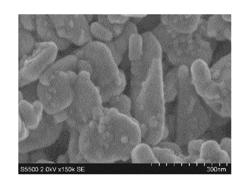 Tungsten oxide photocatalyst and method for producing the same