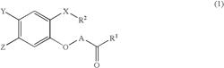 Hydroxyphenol derivatives, processes for the preparation thereof, pharmaceutical compositions them, and therapeutic uses thereof