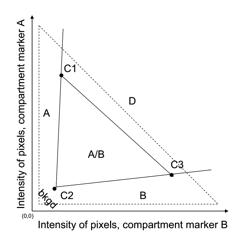 Compartment segregation by pixel characterization using image data clustering