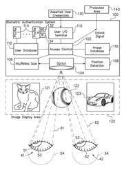 OCULAR BIOMETRIC AUTHENTICATION WITH SYSTEM VERIFICATION