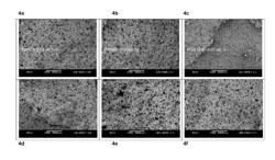 Stabilized Aerated Frozen Confection Containing Hydrophobin