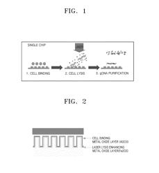 Method and apparatus for disrupting cells and purifying nucleic acid using a single chip