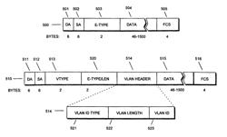 VLAN frame format