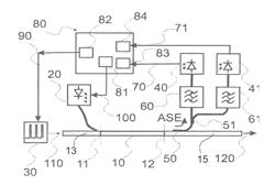 Method and Apparatus for Differentially Controlling Population Inversion in Gain Medium