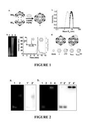 PROCESS FOR DELIVERING ENCAPSULATED NEUTRAL BIOIMAGING MOLECULES, COMPLEX, AND PROCESS THEREOF