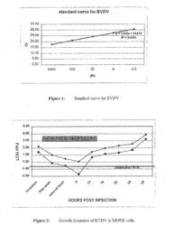 MODIFIED NUCLEOSIDES FOR THE TREATMENT OF VIRAL INFECTIONS AND ABNORMAL CELLULAR PROLIFERATION