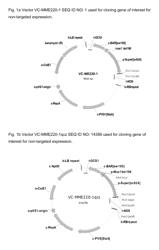 Plants with increased yield