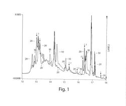 SYSTEMS AND METHODS FOR CHARACTERIZATION OF MOLECULES