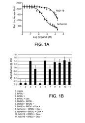 INHIBITORS OF BROMODOMAINS AS MODULATORS OF GENE EXPRESSION