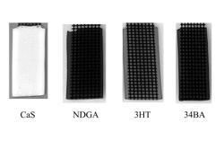 ANTI-FOULING BIO-HYDROGEL COMPOSITION