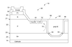 SYSTEMS AND METHODS FOR TERMINATING JUNCTIONS IN WIDE BANDGAP SEMICONDUCTOR DEVICES