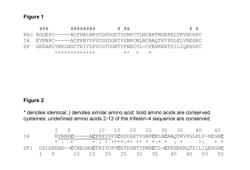 FACTOR XII INHIBITORS FOR THE TREATMENT OF SILENT BRAIN ISCHEMIA AND ISCHEMIA OF OTHER ORGANS