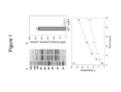 ENHANCED CELLULOSE DEGRADATION